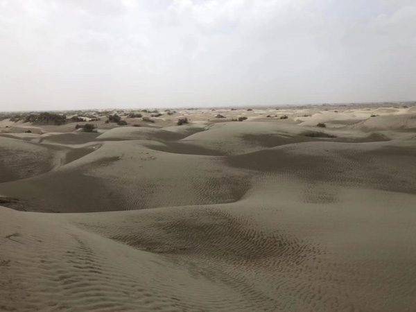 非法經營鑒定中引用的鑒定標準是什么？嘉定刑事律師告訴您