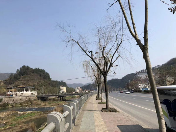 網上購物商城運營半年傳銷層級達46層！上海刑事律師咨詢網帶您了解