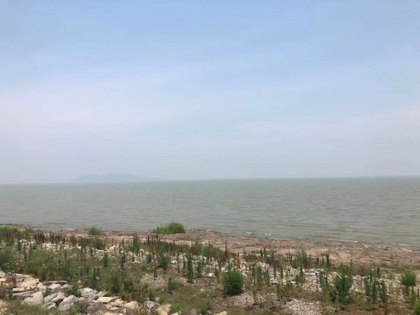 如何認定參加黑社會性質組織罪中的參加行為？上海刑事犯罪律師來回答