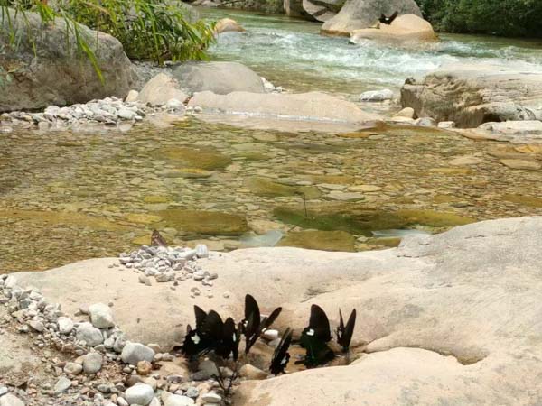 上海優(yōu)秀刑事案件律師為您講解搶劫未遂從輕處理的話一般判幾年