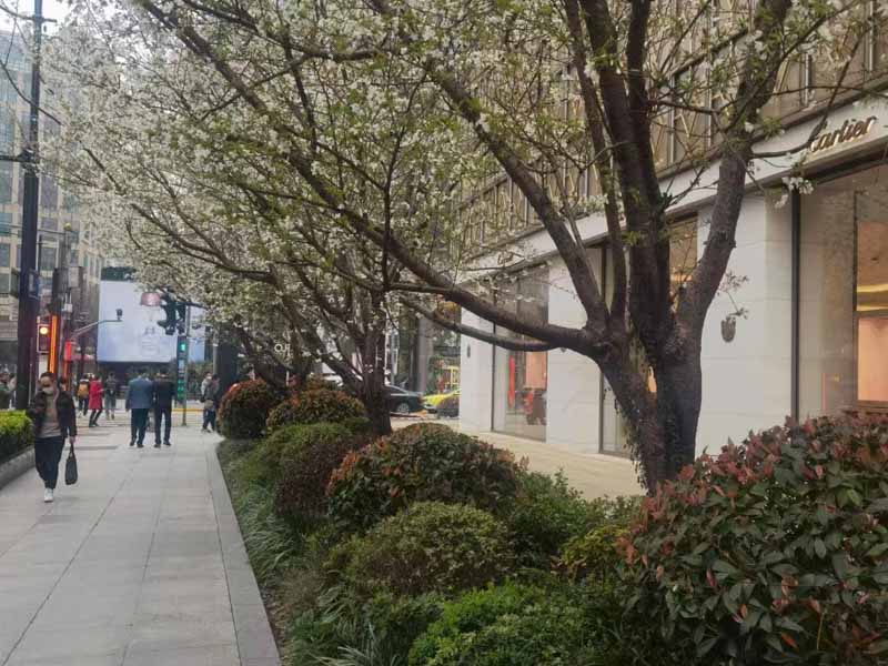 被告人販賣毒品后又幫他人窩藏毒品的如何定罪？上海刑事律師案件來回答