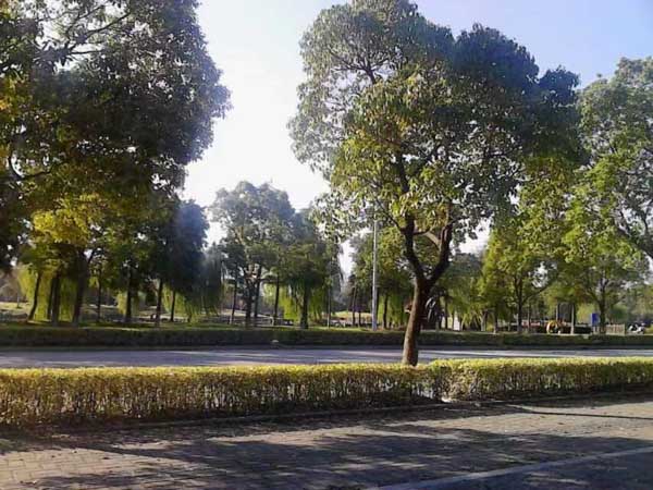 對于一些違法犯罪未遂犯，應(yīng)該怎樣進(jìn)行處罰呢？聽聽青浦區(qū)刑事律師的說法