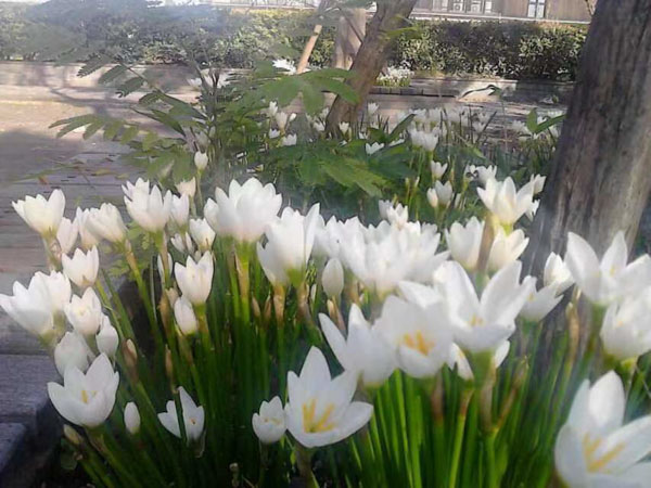 寶山刑事律師來講講因形跡可疑被盤查供述毒品事實(shí)是否成立自首