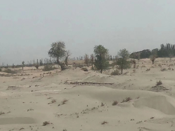 打架拘留后，家屬該怎么辦？寶山刑事律師幫您解決