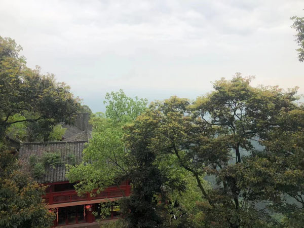 盜竊信用卡的行為包括哪些？寶山刑事律師帶您了解