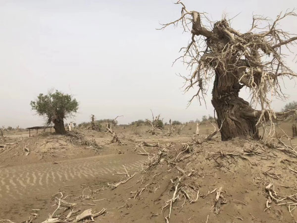 盜竊自己借給別人的東西在司法實踐中是盜竊嗎？上海刑事律師事務所來回答