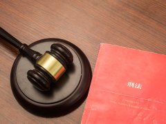 上海靜安職務(wù)侵占罪對股東身份要求律師咨詢