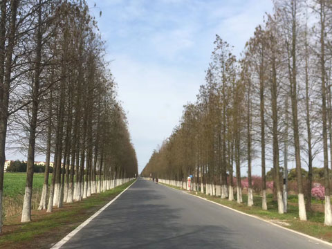 刑事犯罪去哪找專業的上海取保候審律師