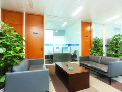 上海經濟犯罪律師-常見的經濟犯罪有哪些