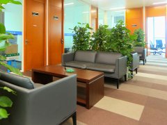 上海市律師事務所律師排名 上海比較出名的律師