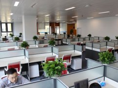 <b>刑律風云：深度剖析故意傷害罪辯護策略，許某、王某某案件啟示</b>